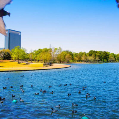 Here’s what you will find in the Texas waters during summer and spring